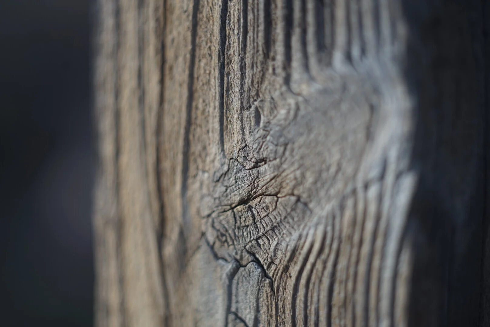 ABE5E11D-0DF6-4566-87B1-8CAABF6923D2