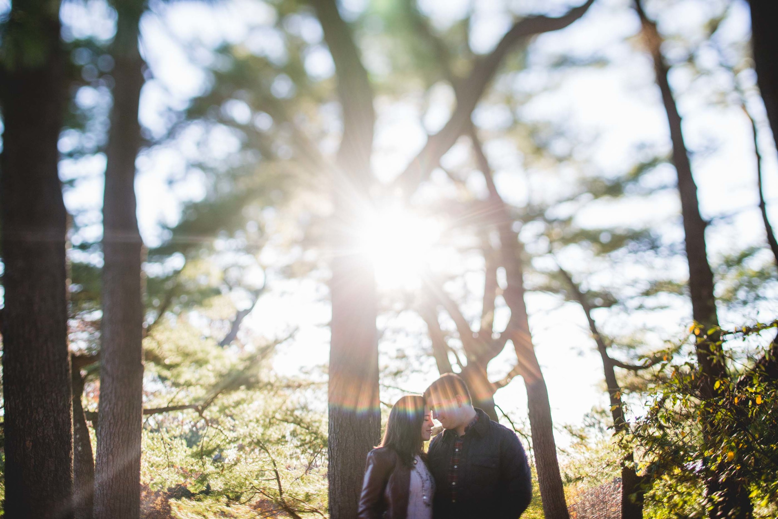 Arboretum-Engagement-Photographer-9.jpg