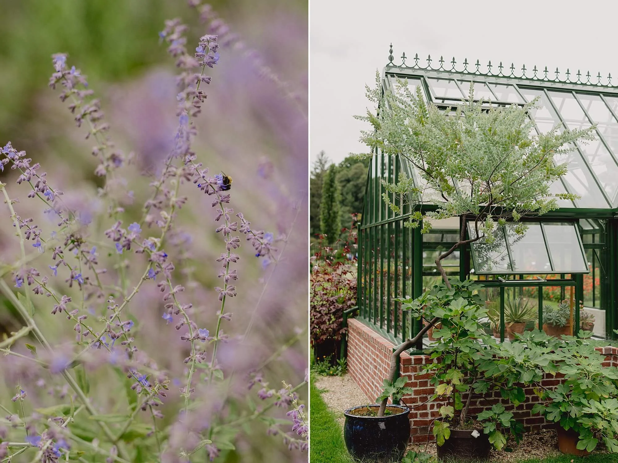 Gardens At Elm Bank Wedding-36.jpg