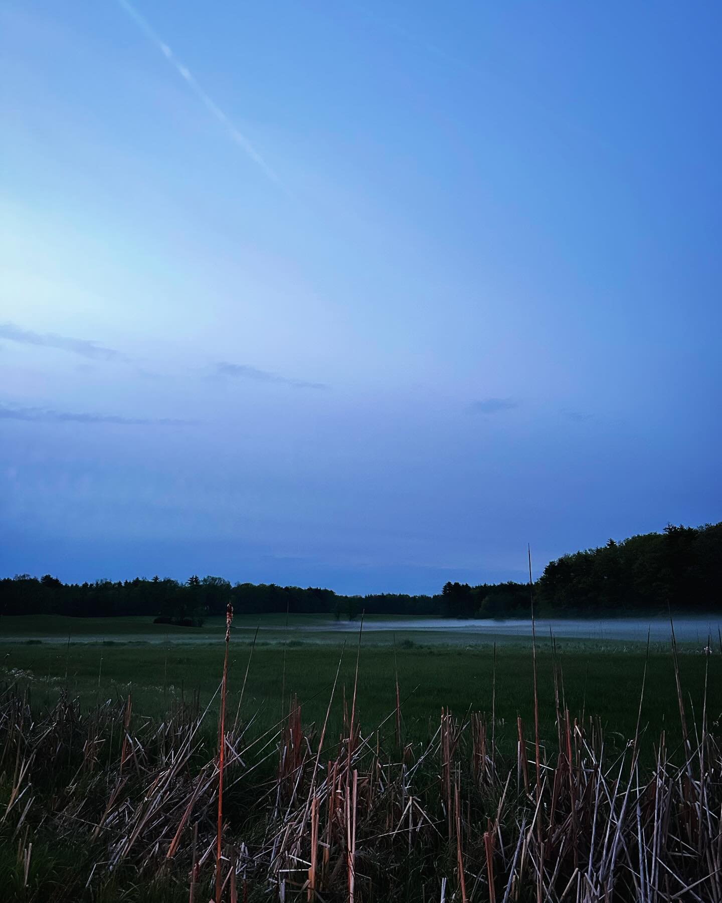 Misty dusks are my favorite in the spring. The photos don&rsquo;t do it justice. ✨ #lifestylephotography #lifestylephotographer #brandphotography #brandphotographer #commercialphotography #commercialphotographer #newengland #dusk #spring #sunset #mis