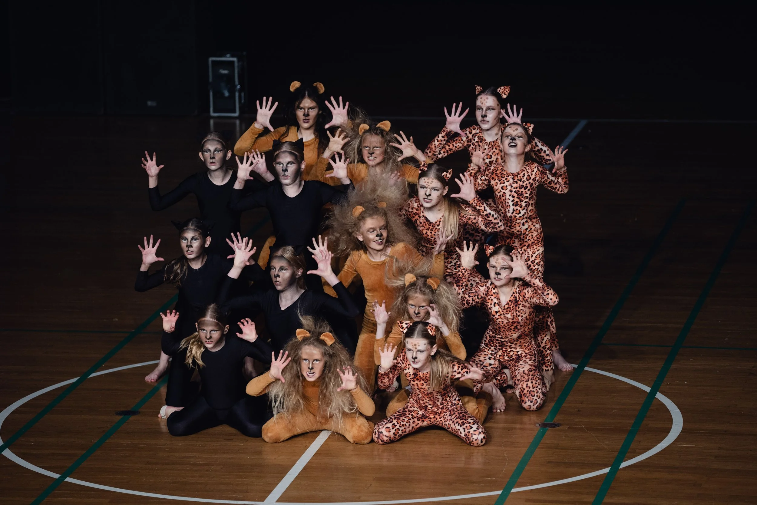 Audition til Dansefebers elitehold