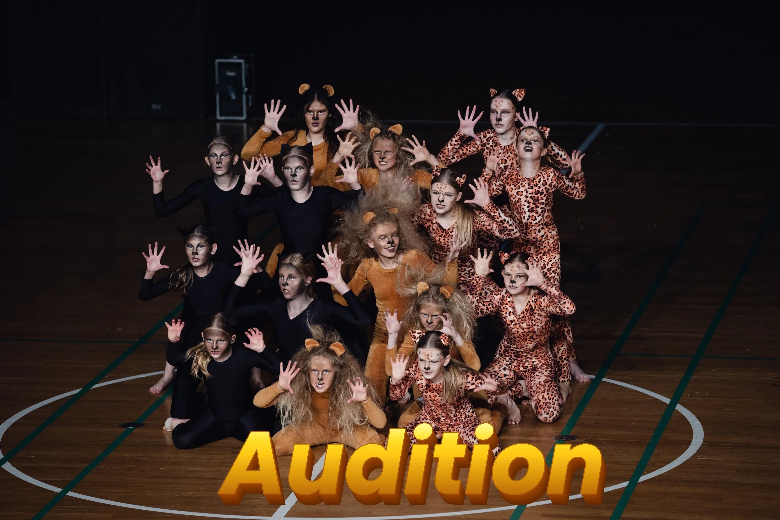Audition d. 3. juni 2026 