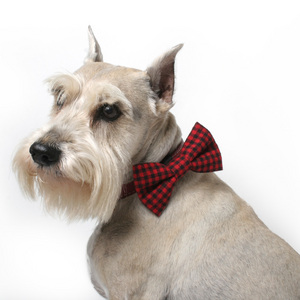 Black and Red Gingham Dog Bowtie.jpg