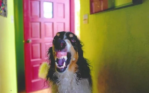  We agree, he definitely wins for best smile!