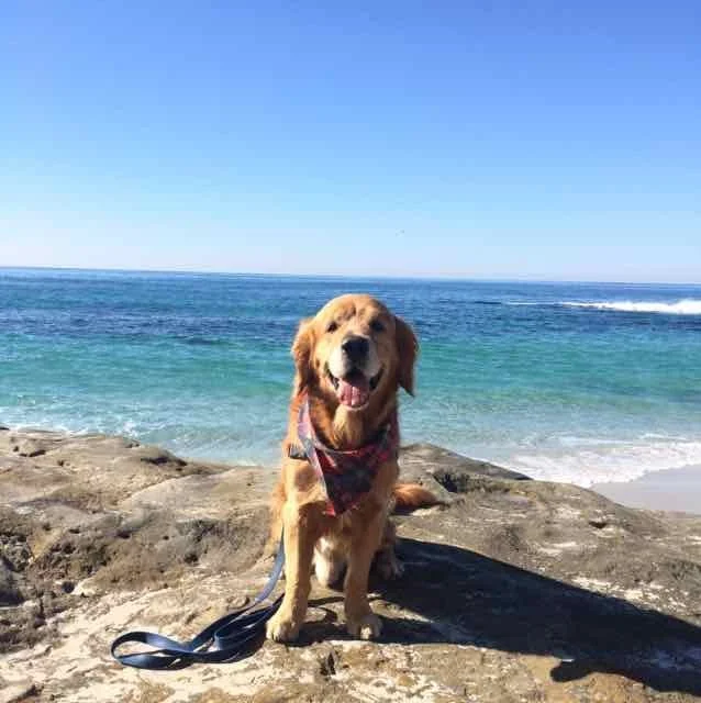 Dempsey Beach.jpg