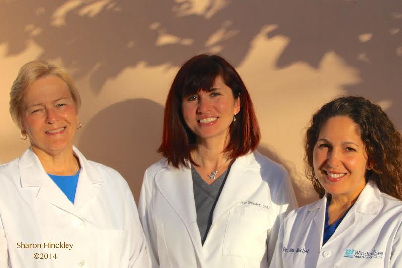 &nbsp; &nbsp; &nbsp; &nbsp; &nbsp; &nbsp; &nbsp; &nbsp; &nbsp; &nbsp; &nbsp; &nbsp; &nbsp; &nbsp; &nbsp; &nbsp; &nbsp; &nbsp;Dr. Jean Spengel, Dr. Lena Stuart and Dr. Dina Raichel