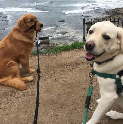 Duke and Olivia .jpg