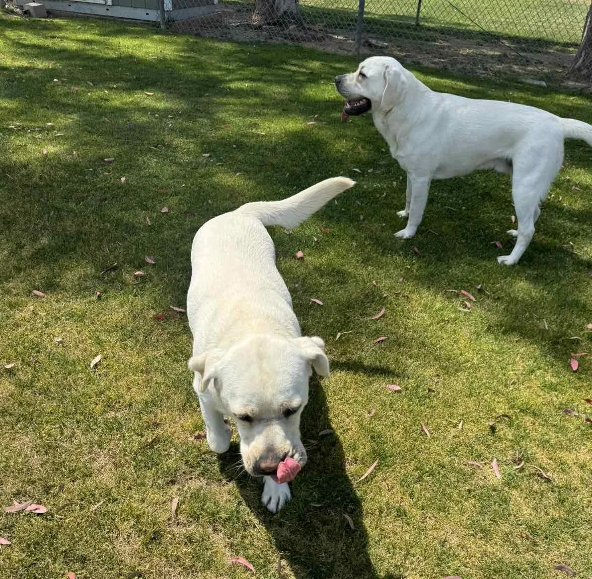 Sophie and Bernie.jpeg