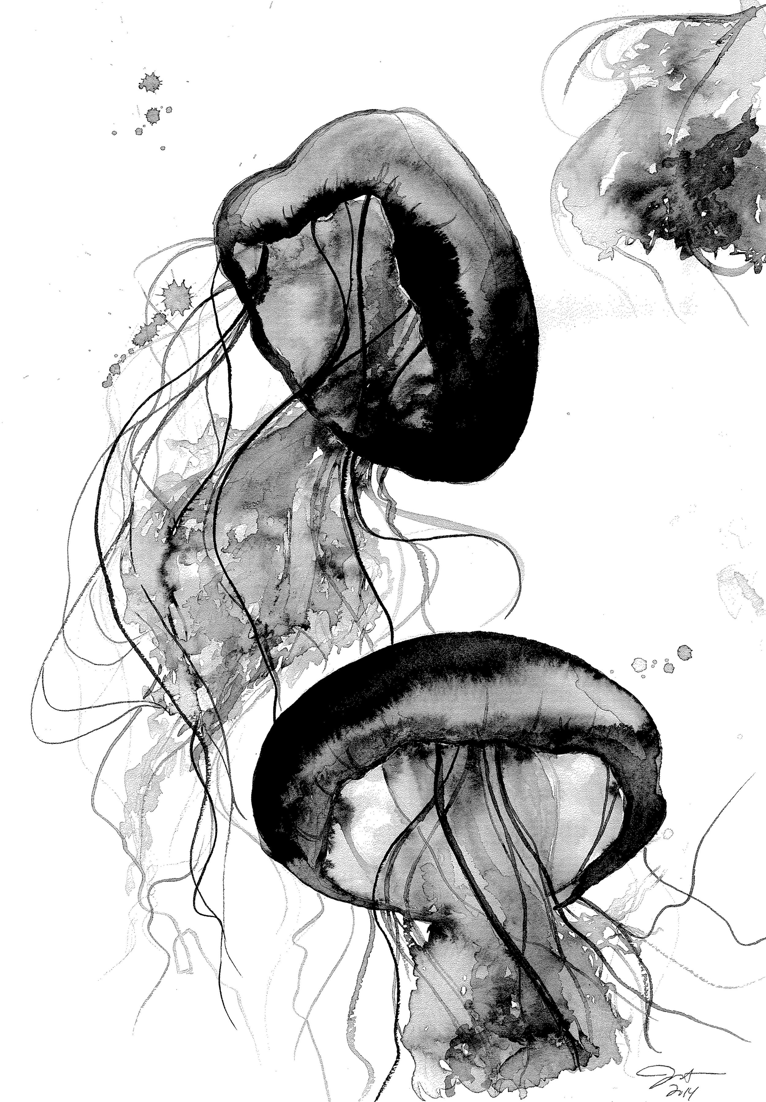 black and white jellyfish.jpg