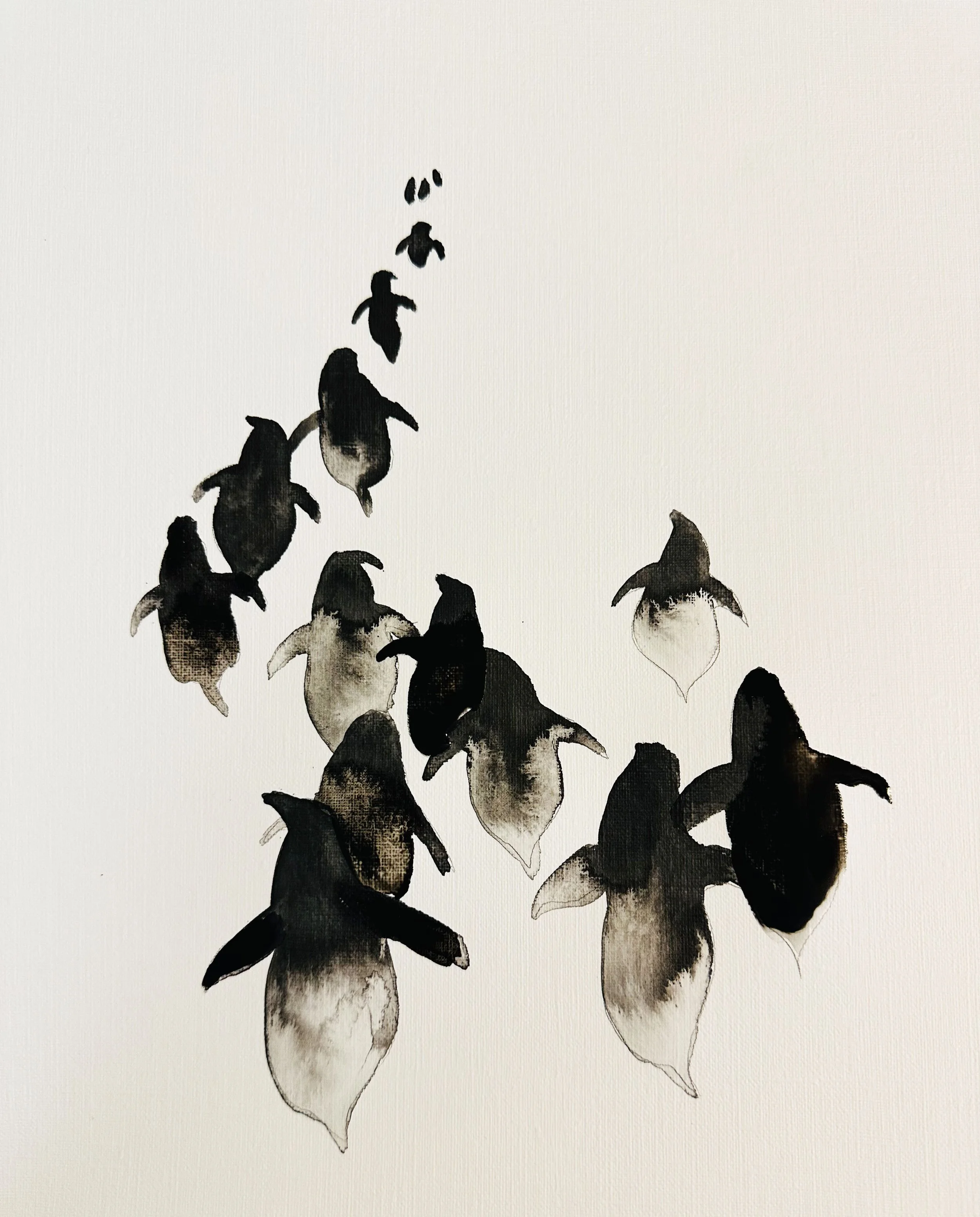 Patch of Penguins.jpeg