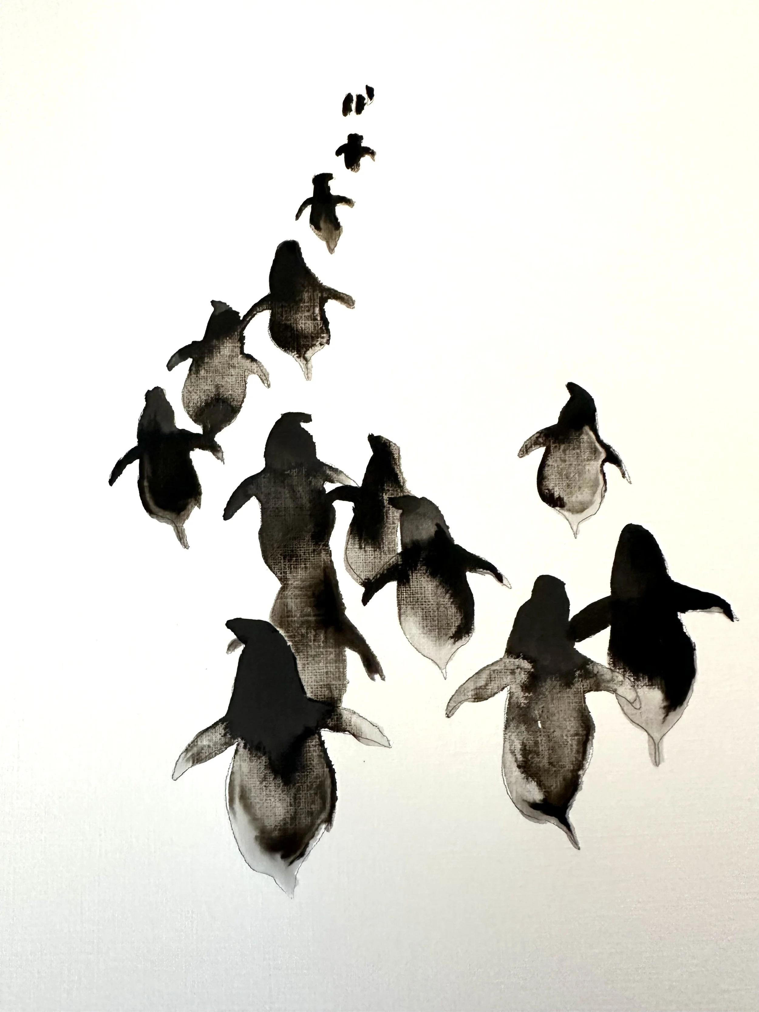 Patch of Penguins.jpeg