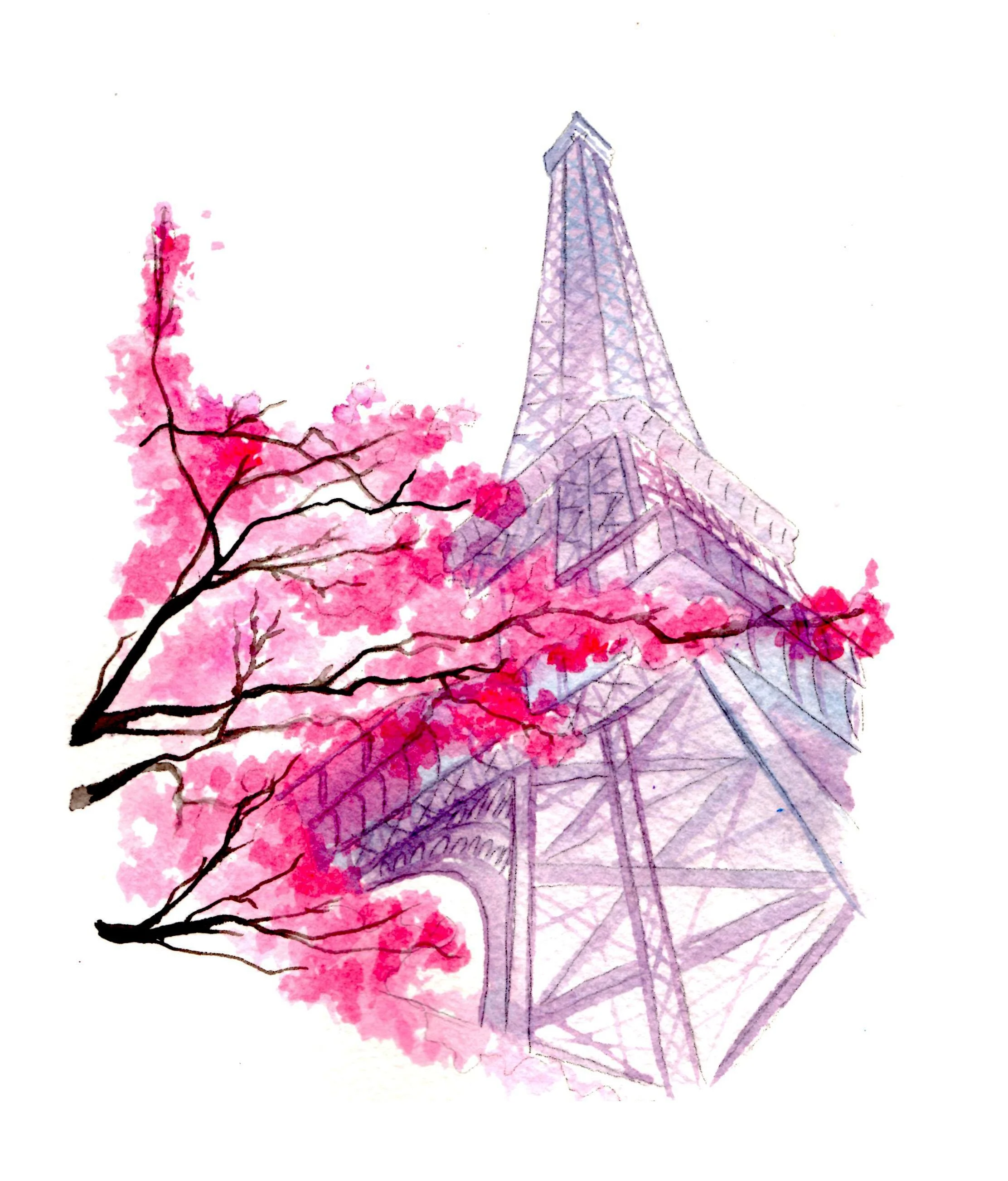 Blossoms in Paris copy 2.jpg