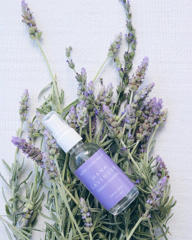 New to the Online Shop! Our Hāna Lavender Calming Hydrosol is a blend of both French Lavender (lavandula dentata) + Sweet Lavender (lavandula heterophylla) creating a healing sweetness that helps to soothe + calm skin irritations while promoting a po