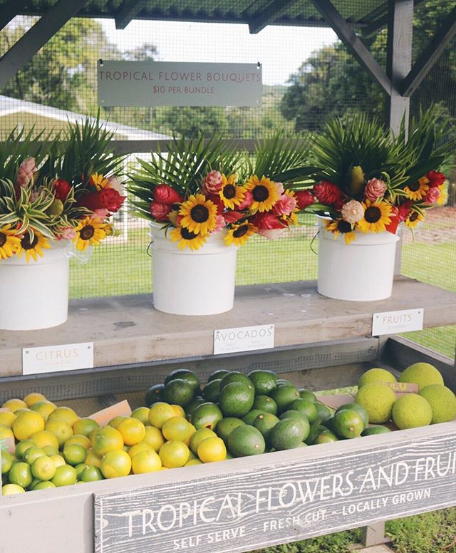 #alohafriday #fruitstand offerings for all your weekend needs 🌸 Mahalo for shopping by 🤙💐
.
.
#farmfresh #flowerbouquet 💐
#avocado 🥑
#oranges 🍊
#ulu 🍈
#tangelo 
#lime 
#hana #maui