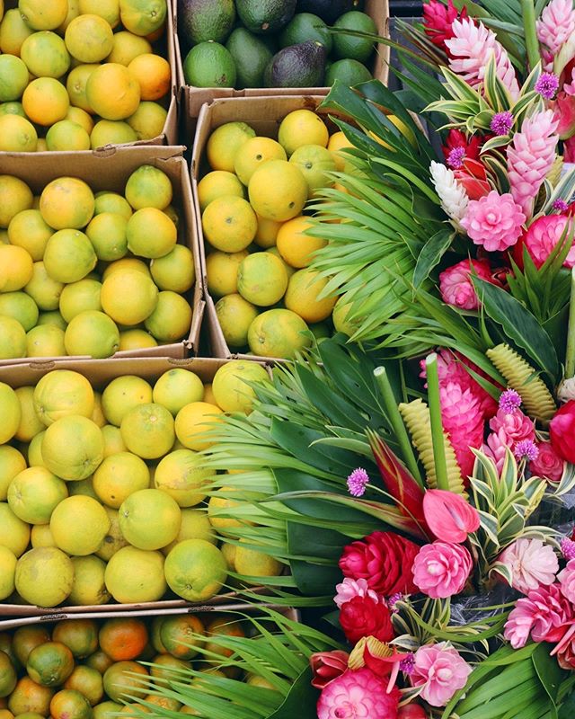 Happy Holidays! The Fruit + Flower stand is extra loaded with freshly picked farm goods for all your weekend festivity needs 🌸🤙
.
.
.
#fruitstand #tangelo #avocado #tangerine #lime #orange #tropical #flowers #tropicalflowers #hana #maui #hawaii