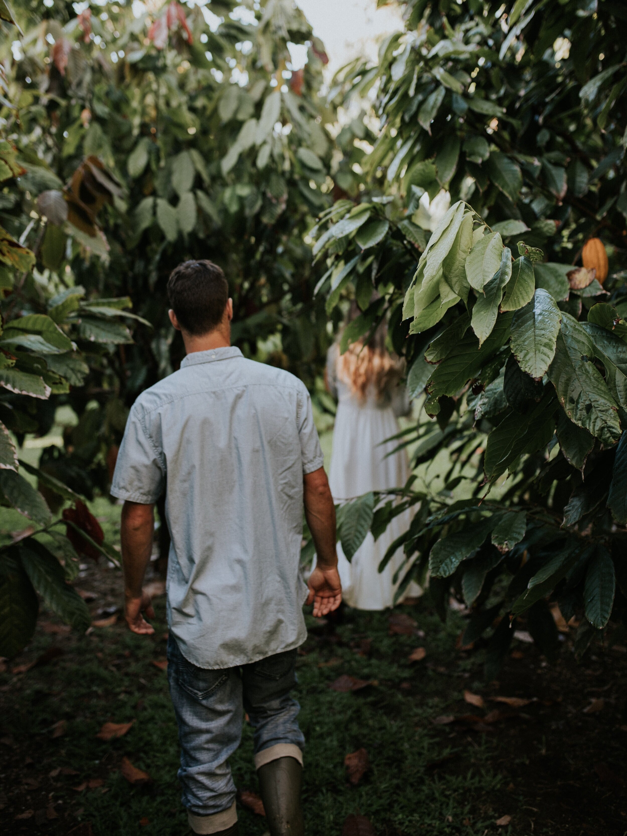 Cacao Orchard Walks