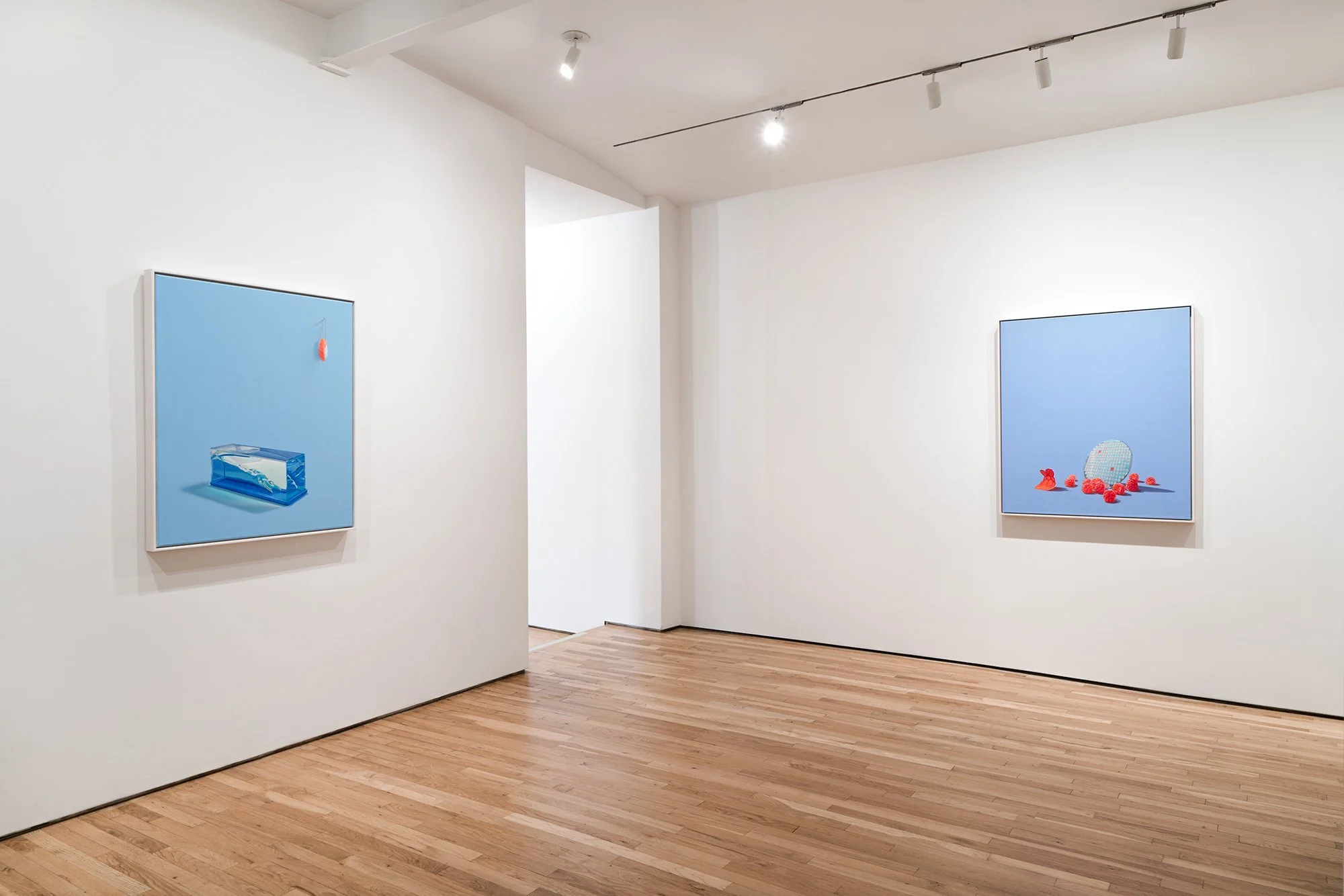 Installation View, Jake Kean Mayman, Technium Territories..jpeg