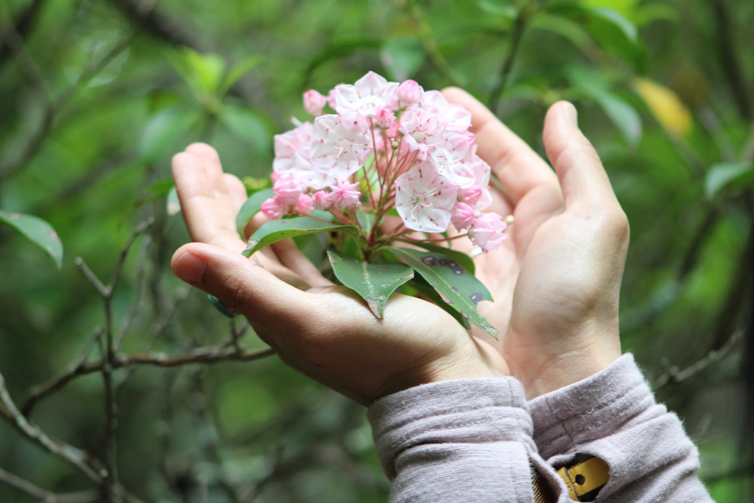 Pangu Yoga ~ Equanimity + Compassion LIVE RECORDING