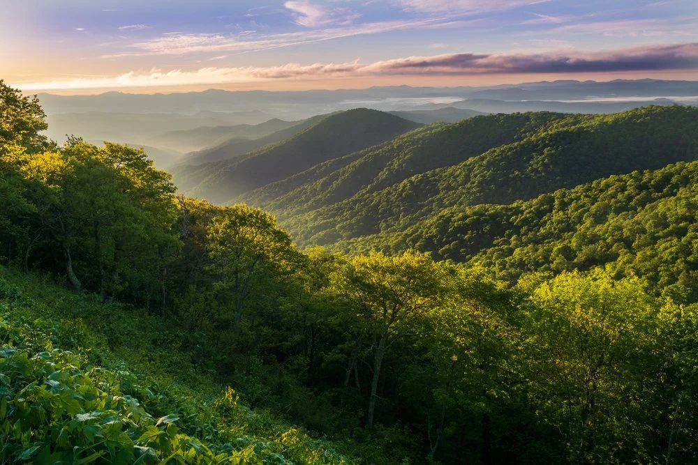 Summer Refresh Mini Retreat: Yoga, Acupuncture & Sound Healing (Copy)