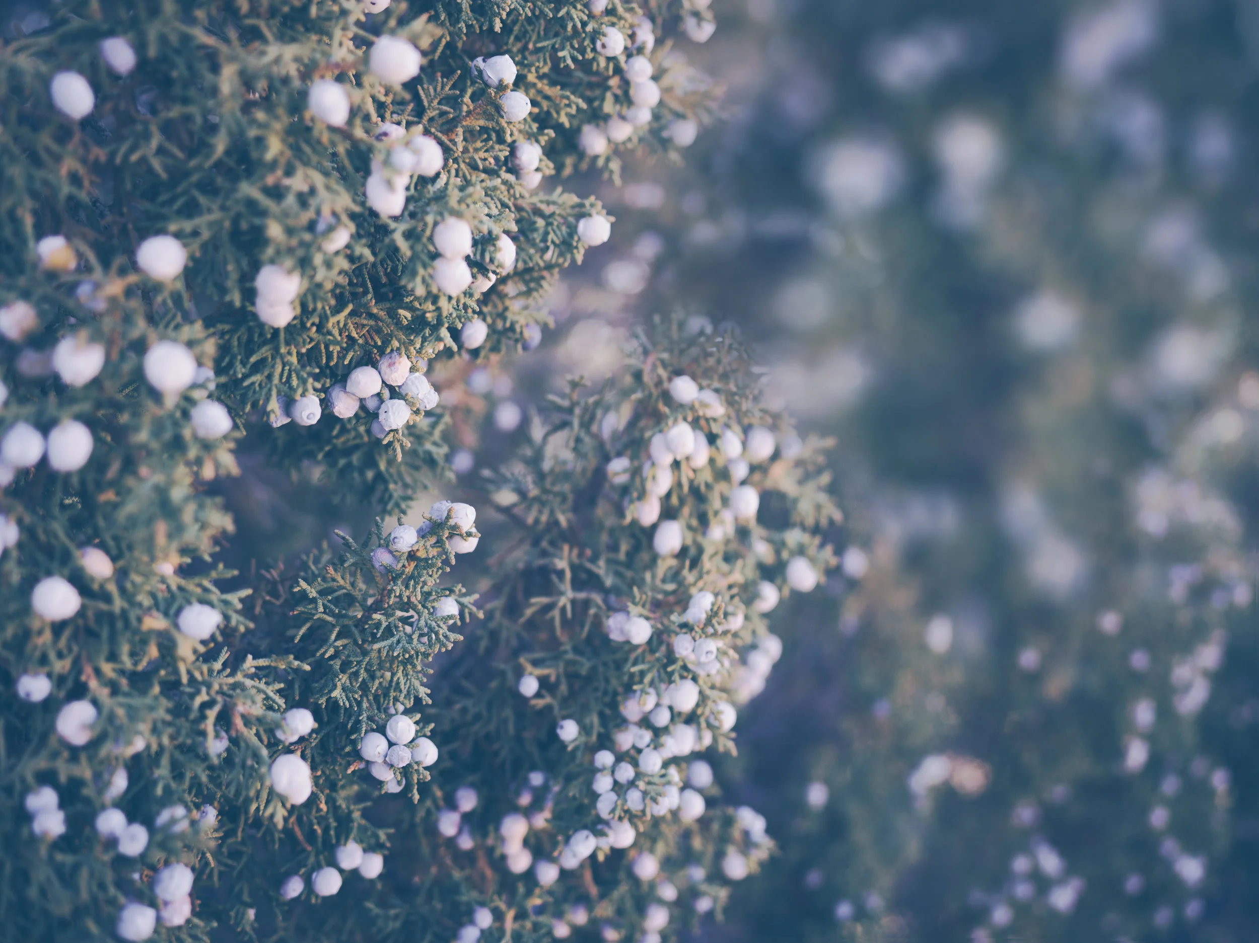 5 Tips For A Beautiful Winter Wedding