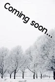 birch tree coming soon.jpg