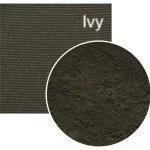 ivy-mineral-eyeshadow-150x150.jpg