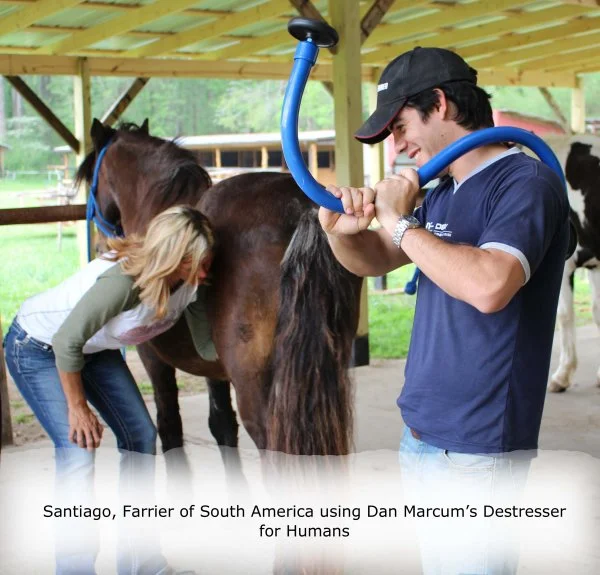 IMG_2921_edited__using_Dans_destresser_for_humans_by_Santiago__Farrier_of_South_America_copy_1.jpg