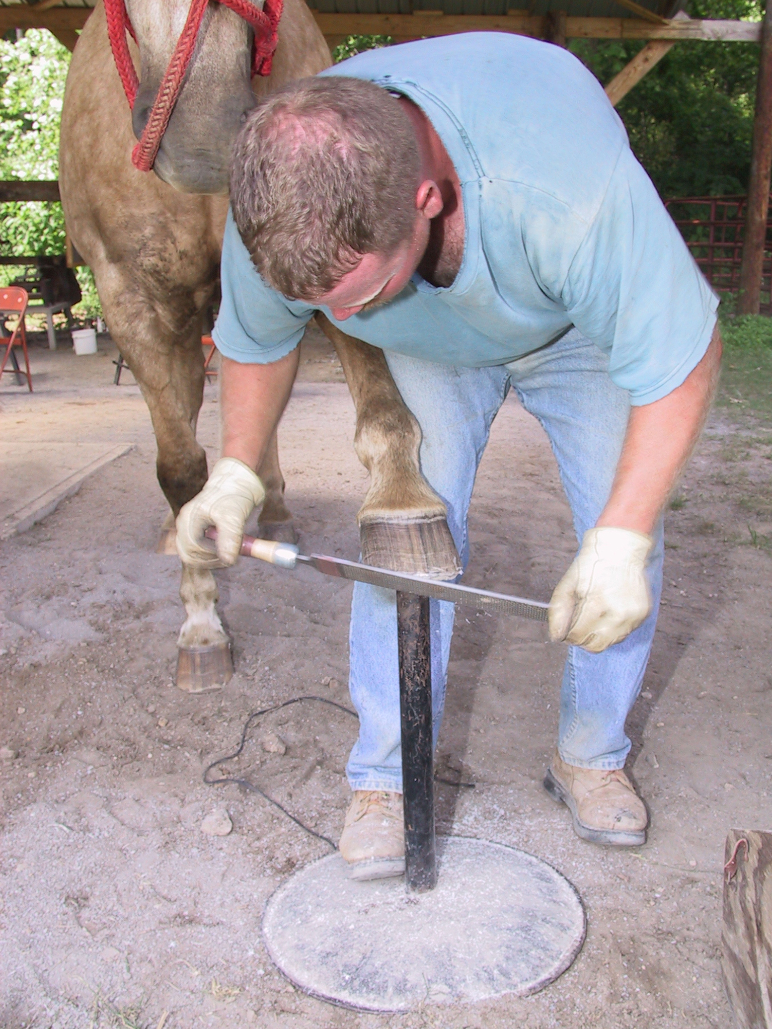 IMG_1833 Trimming and Rasping to remain barefoot.JPG