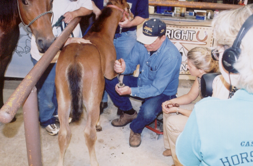 Trimming Babies.1.jpg