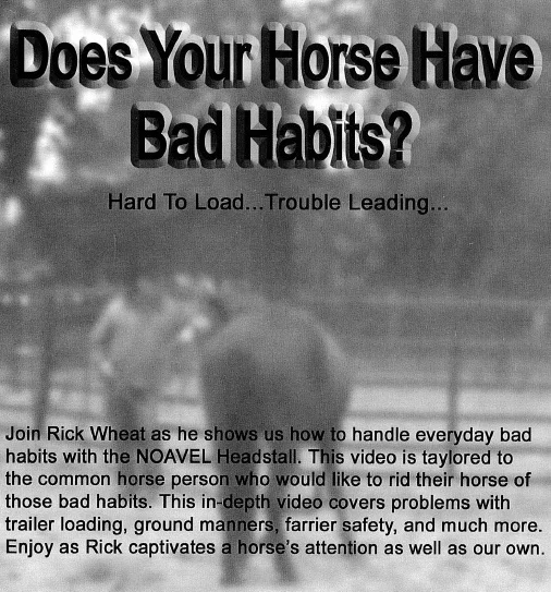 back of DVD 9.2017.jpg