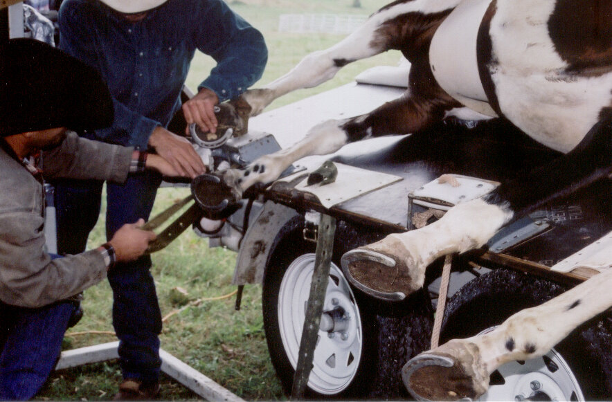 Hydraulic table