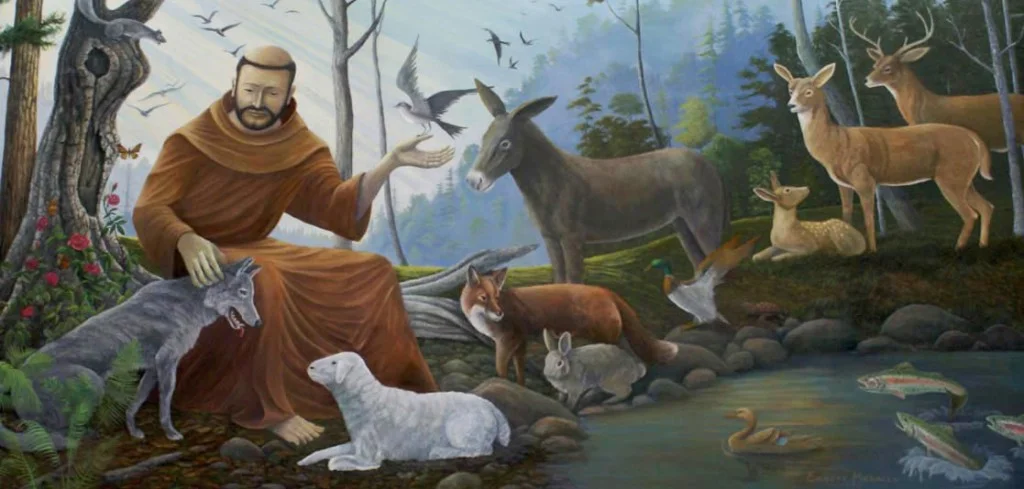 stFrancis21-1024x489.jpg