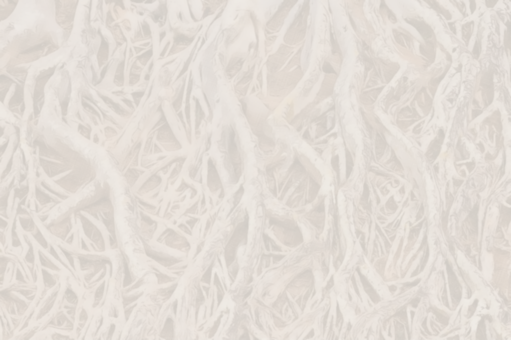 Root Projects Examples What is Root Work? — The Episcopal School of Los Angeles
