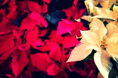 Christmas Eve Service, with prelude music by Résonance