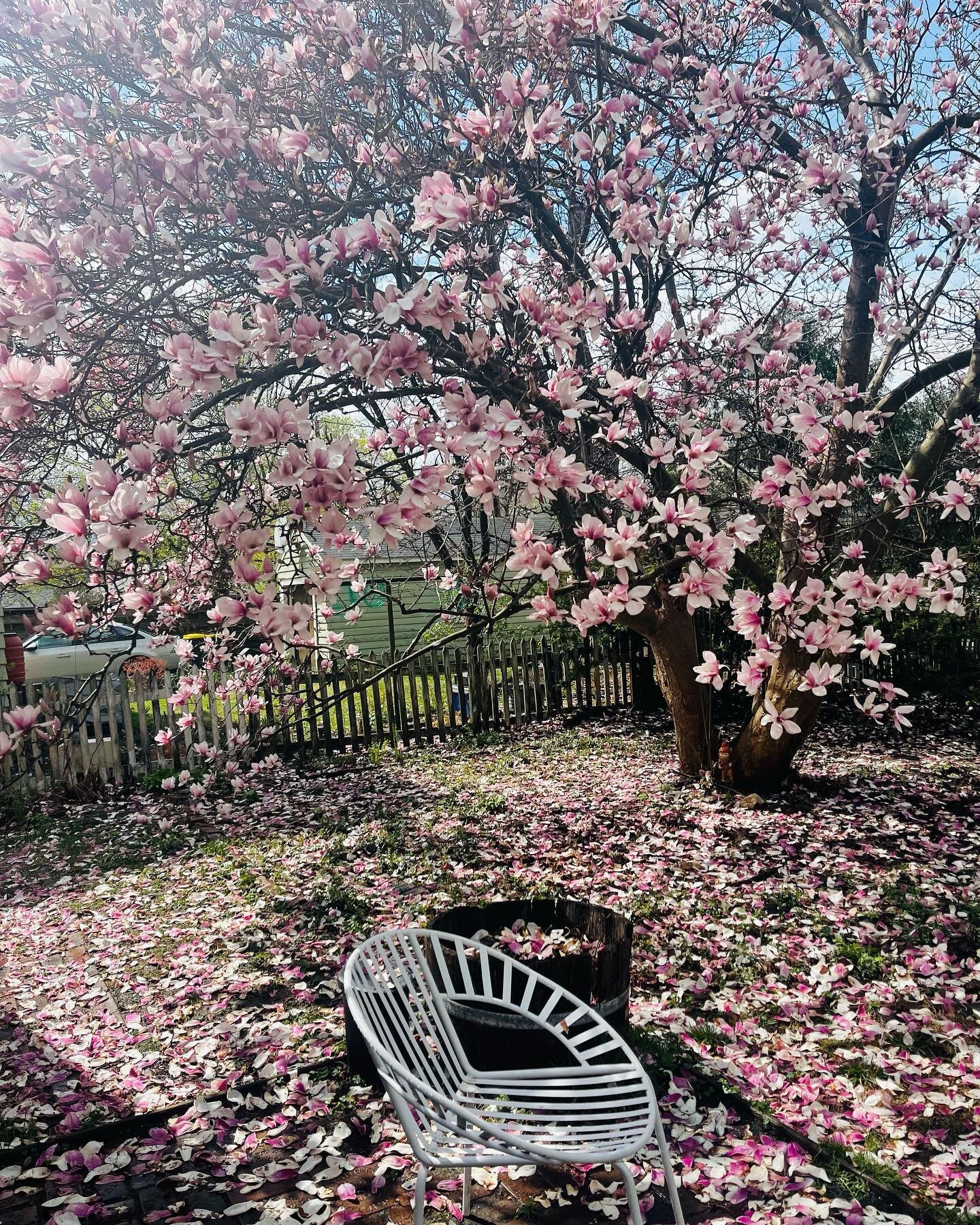 Hello joyous Spring. 
Happy Beltane, Walpurgis, Witches night, May Day, or whatever you call this cross quarter day. 
I hope you bask in the sun light and the lengthening of the days, may you rest your head on a pillow of flowers and find peace and j