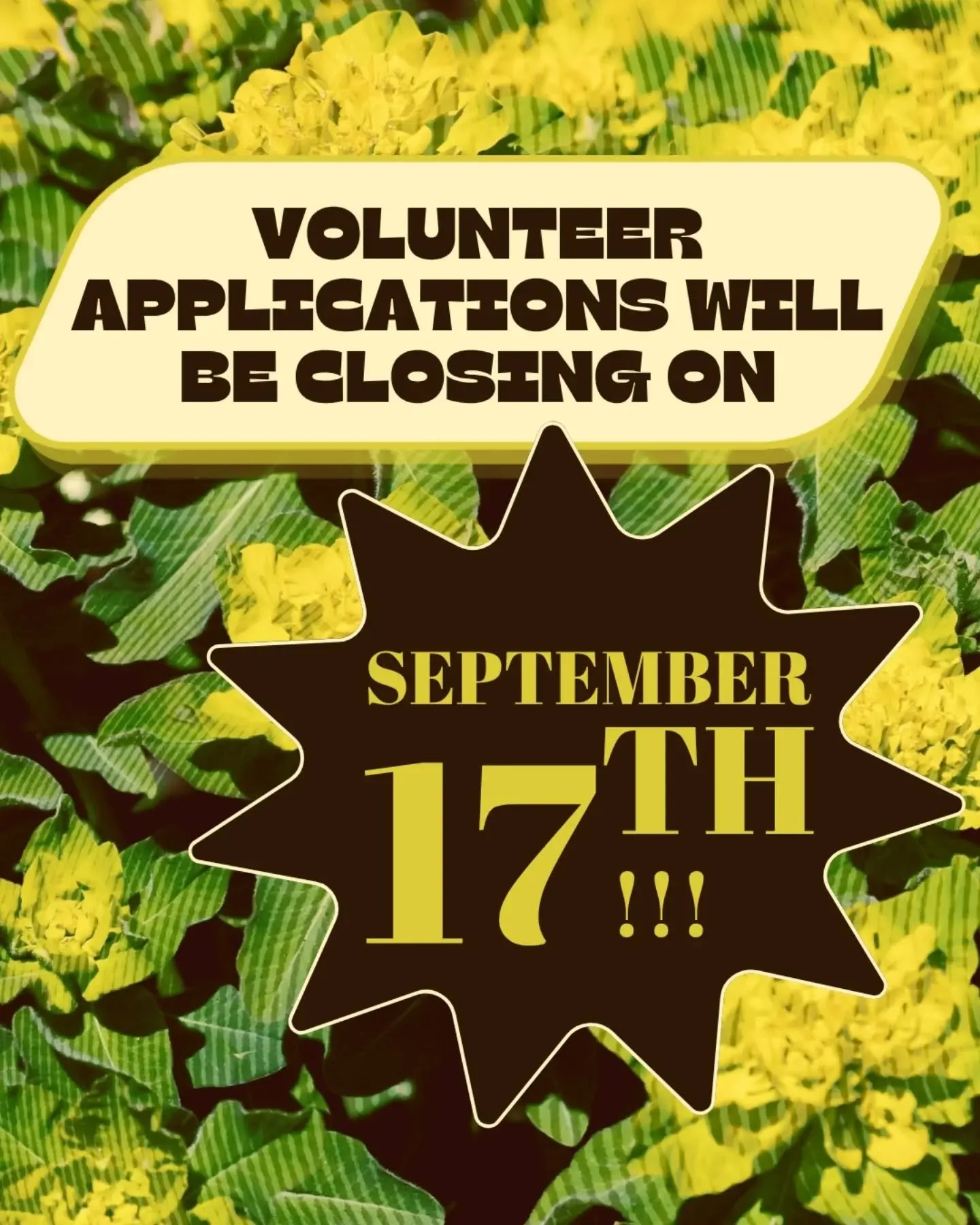 Volunteer applications are closing soon! But we've extended the deadline by one day! Make sure to get your application in if you haven't already :)