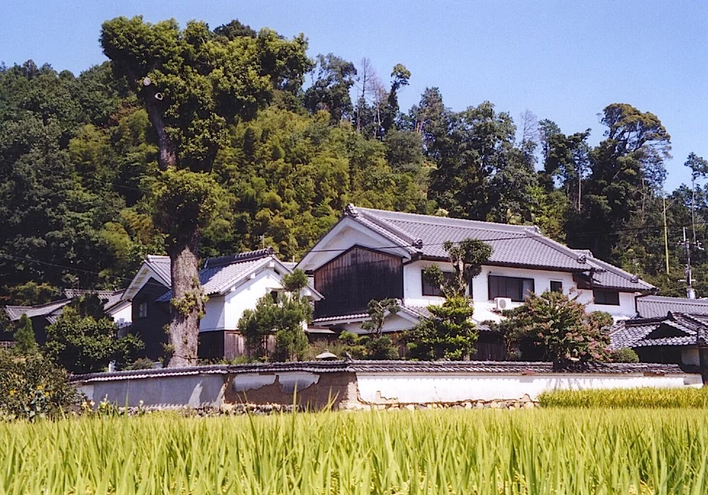 4-21 Large farmhouse surrounded by rice paddies