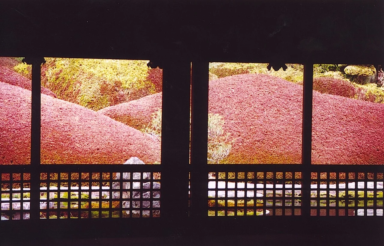7-7 Garden at a subsidiary temple on Mt. Koya