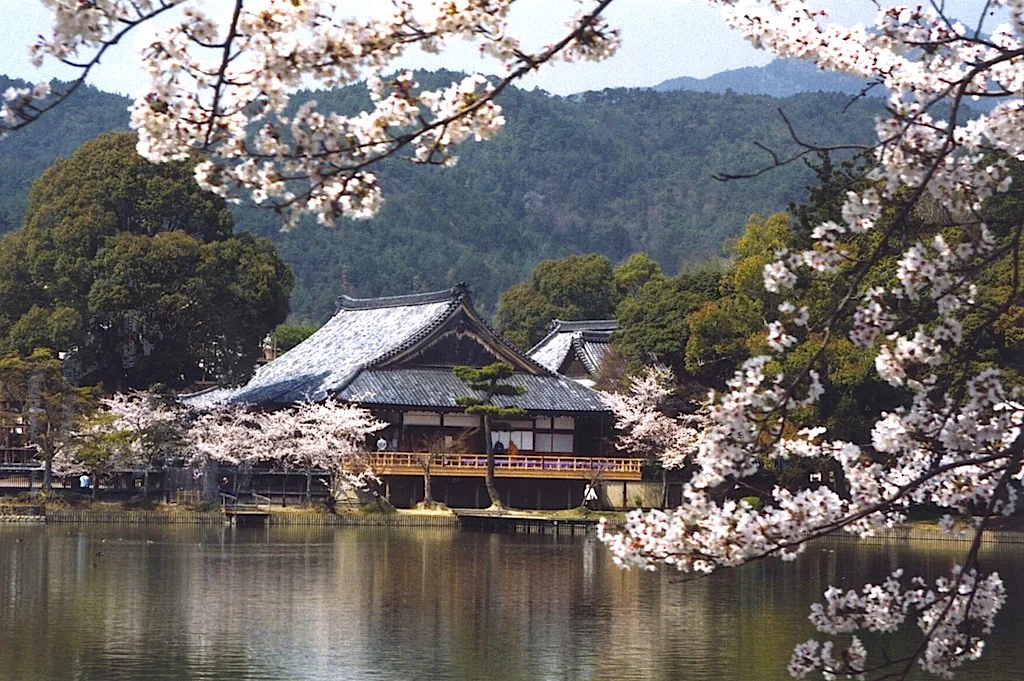 7-8 Large pond garden at Daikakuji, a Shingon temple in Kyoto