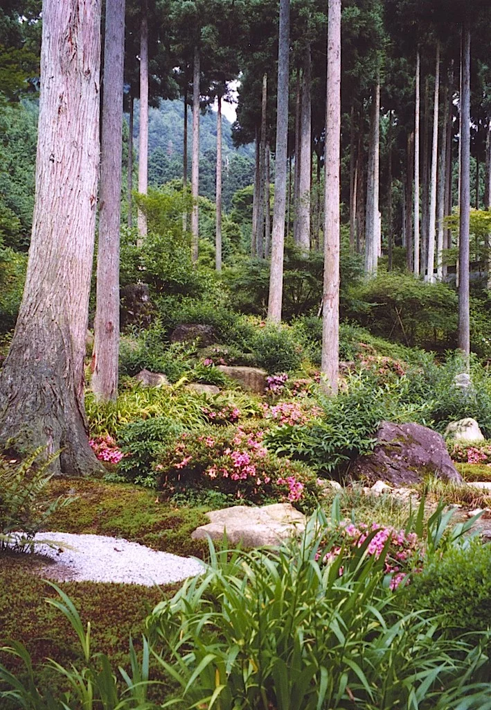 7-11 Informal garden at Daisen-in