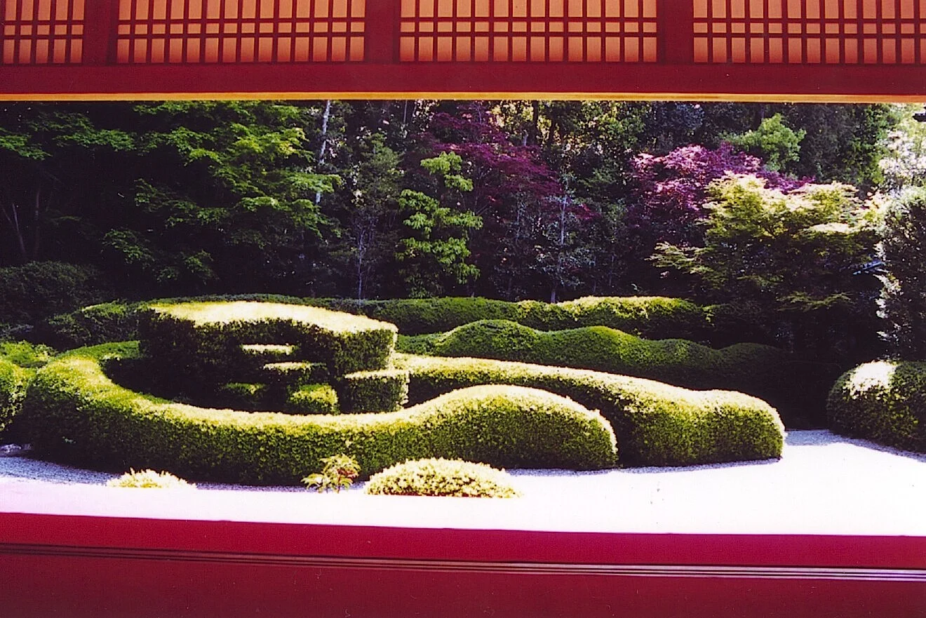 8-14 Trimmed hedge and gravel garden at Daichiji in Koka
