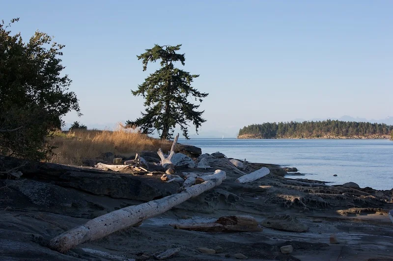 22-1  Drumbeg Provincial Park, Gabriola, British Columbia