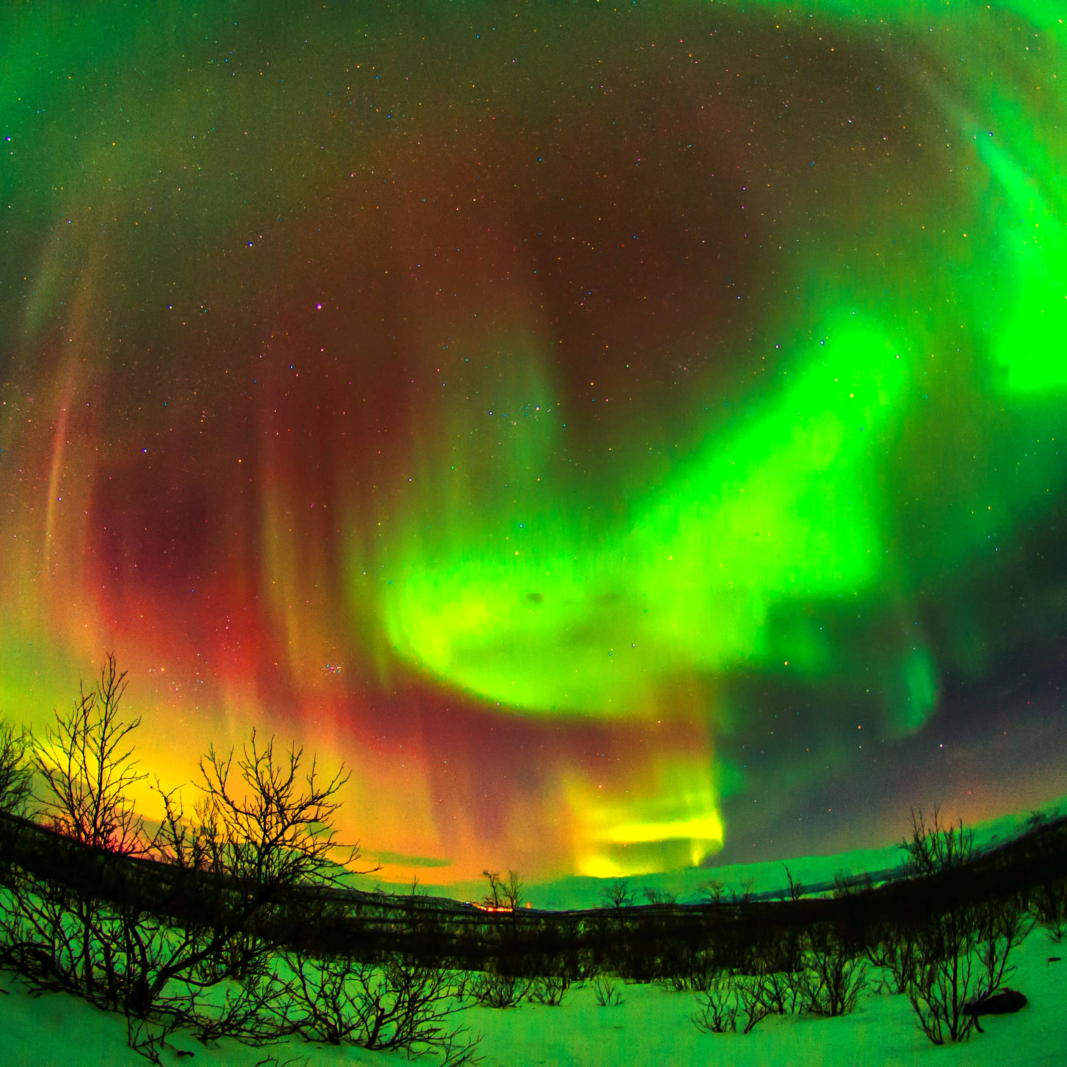 【訂製行程】北極秘境之旅行程訂製 March 1-4