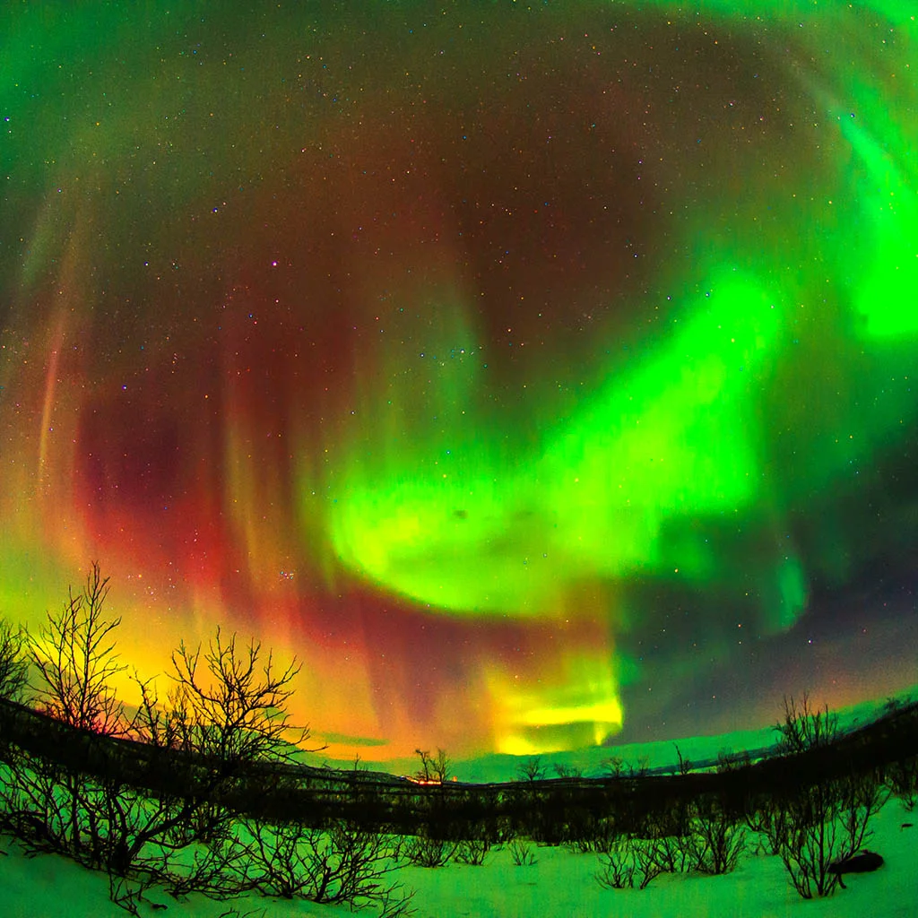 【Brian Yeh訂製行程】北極秘境之旅行程訂製 Jan 2-5