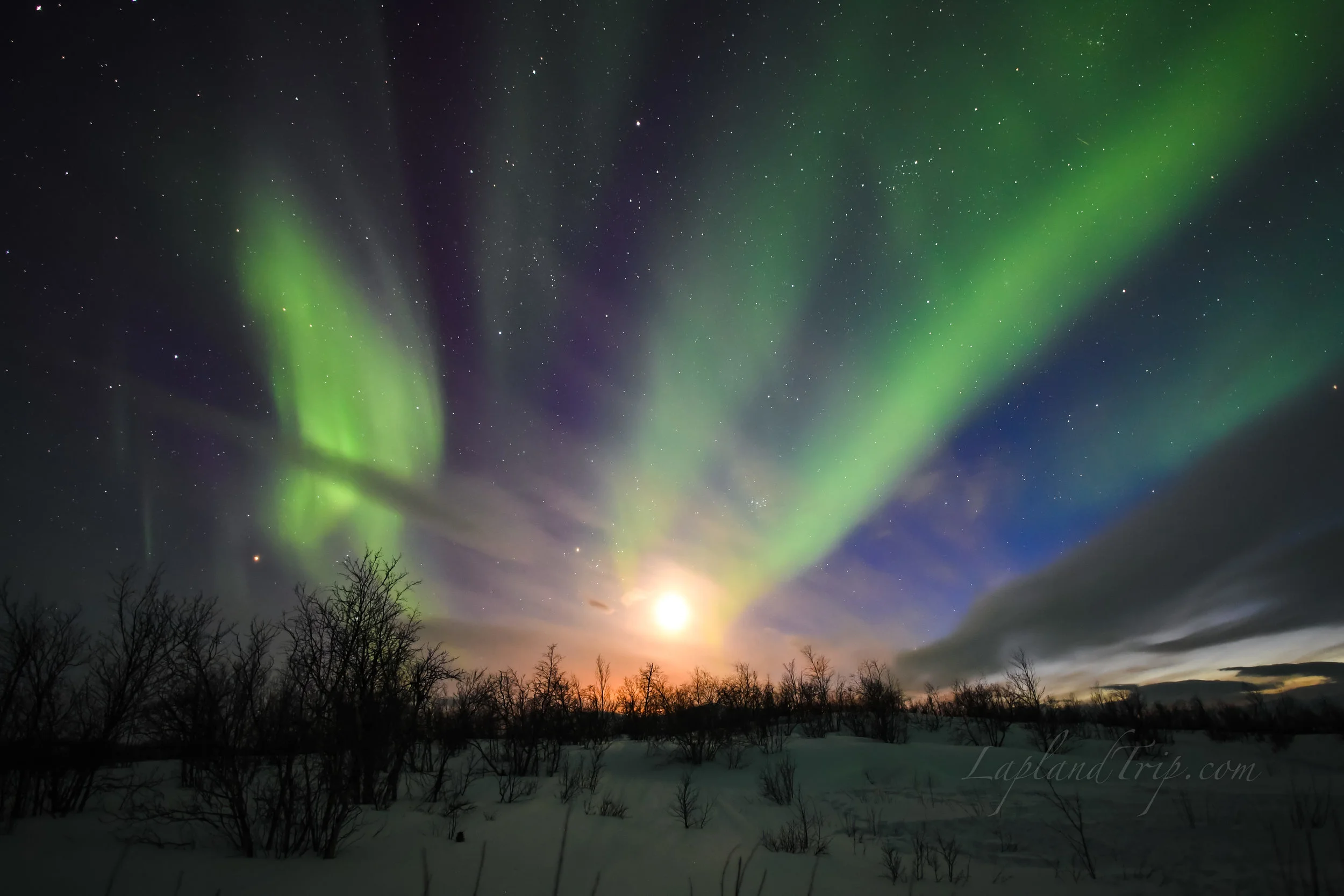 【Marko Chou 訂製行程】北極秘境之旅行程訂製 2018 2/20-23