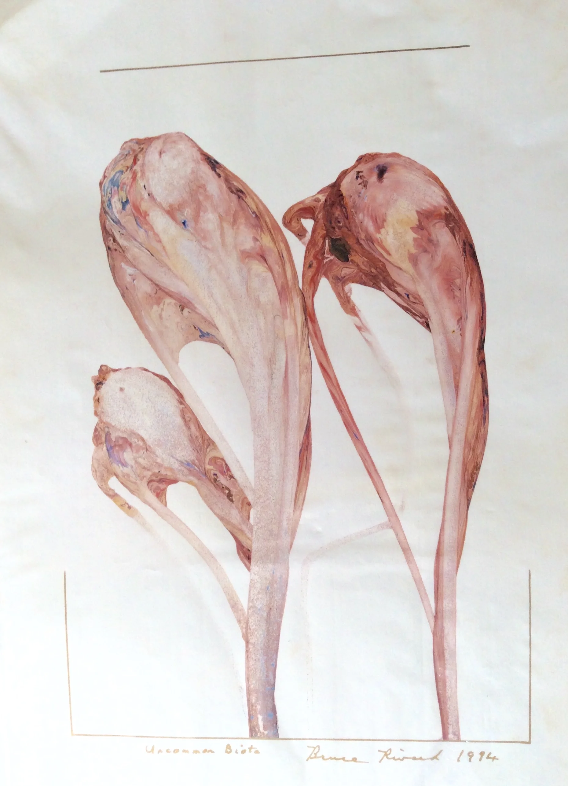 FullSizeRender 22.JPG