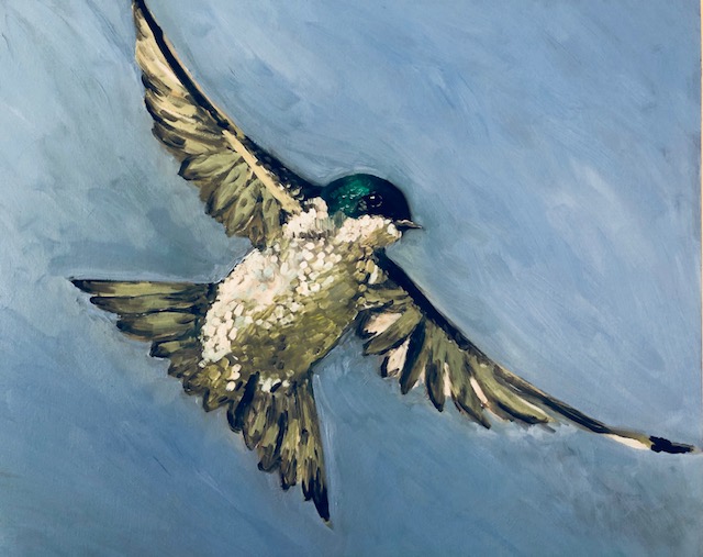 Flight: Tree Swallow oil on board, 20" x 24” Celia Meade