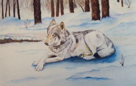 LORNE SHANTZ "Tundra" watercolour $400