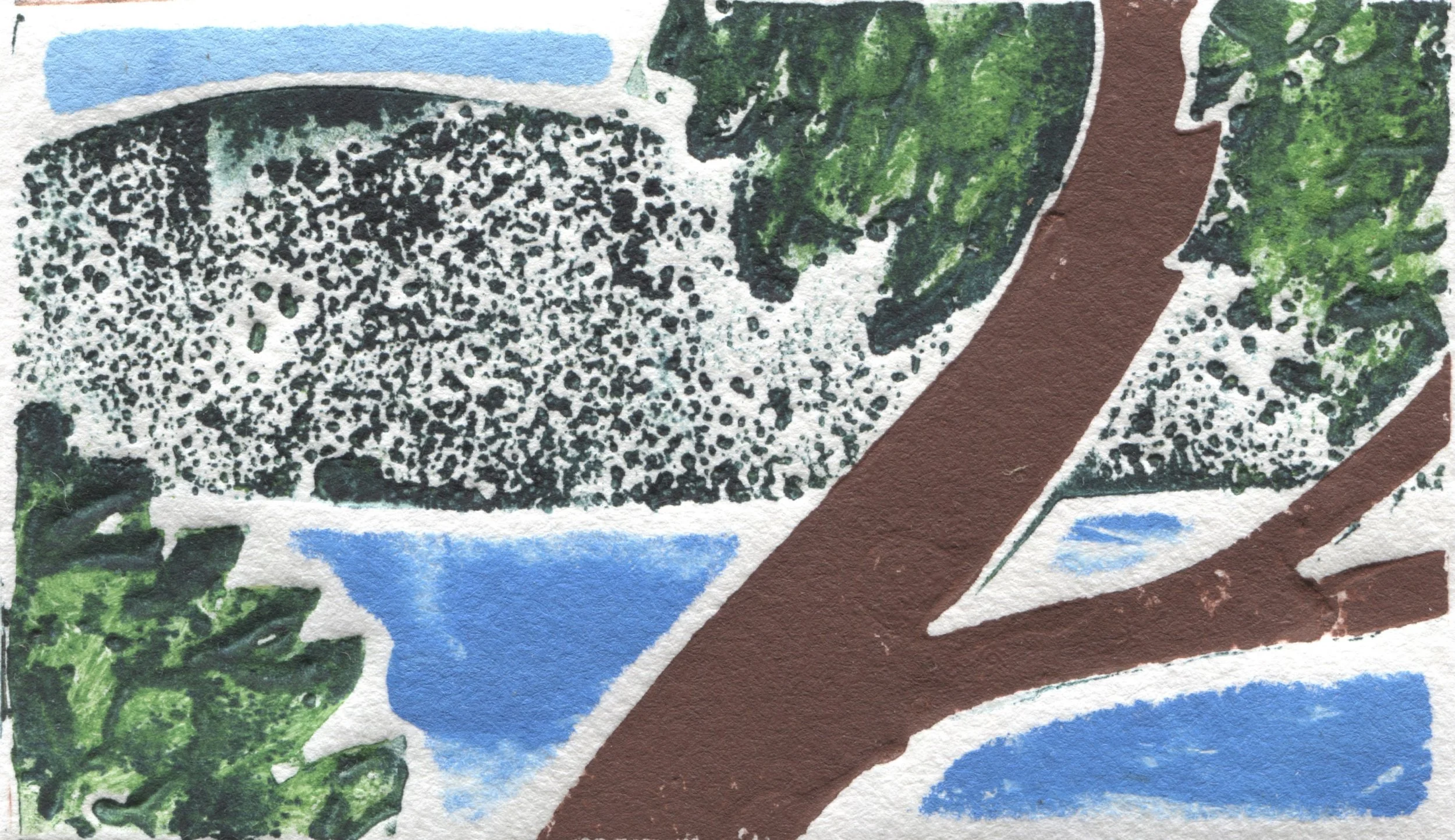2018 salish sea.jpg