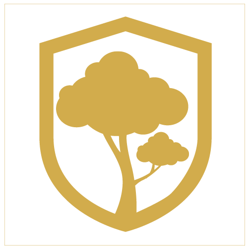 orchard-01.png